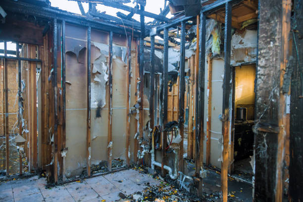Professional Fire Damage Removal technician working in Denton, TX